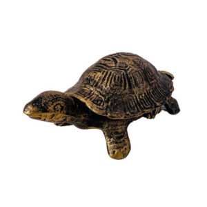 Tortoise Style Tray