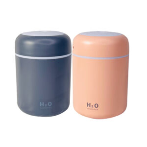 Mini H2O Humidifier